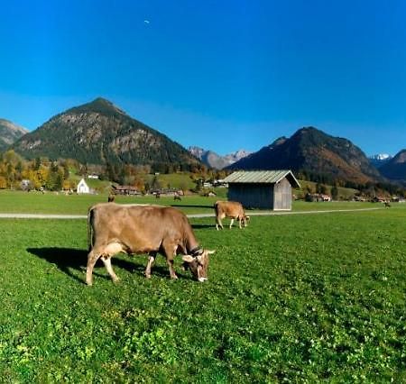 Bergpanorama Apartment Oberstdorf Bagian luar foto